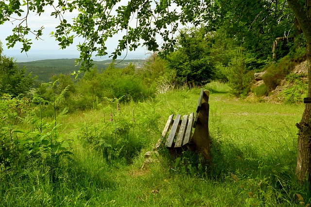 NBA历史上最强的30号巨星是库里，选择这个号码的巨星少